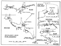 BSA CS12 Bucklands Deerpark Windypit - Ryedale